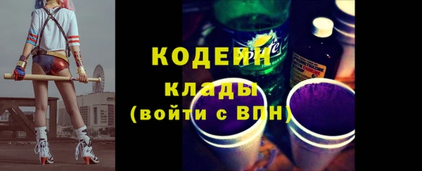 мдпв Бородино