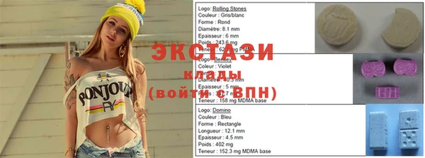 мдпв Бородино