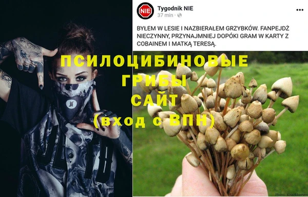 круглые Бронницы