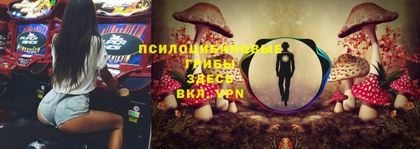 ПСИЛОЦИБИНОВЫЕ ГРИБЫ Бугульма