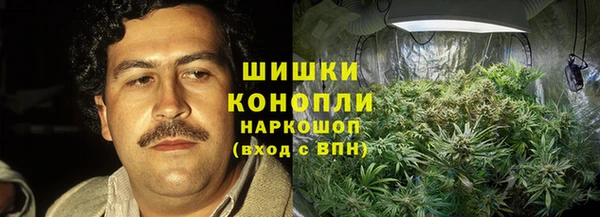 ПСИЛОЦИБИНОВЫЕ ГРИБЫ Бугульма